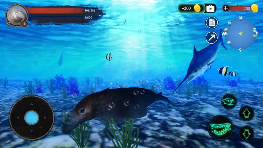 The Seal Elephant screenshot