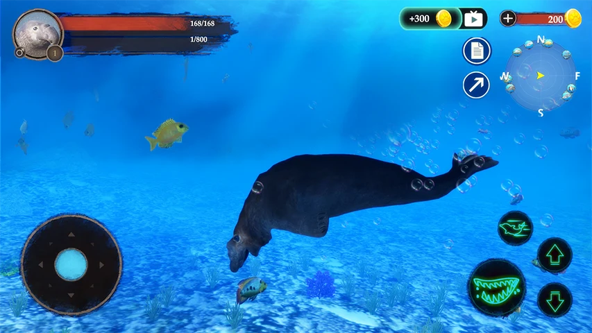 The Seal Elephant screenshot