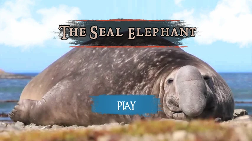 The Seal Elephant screenshot