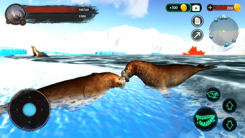 The Seal Elephant screenshot