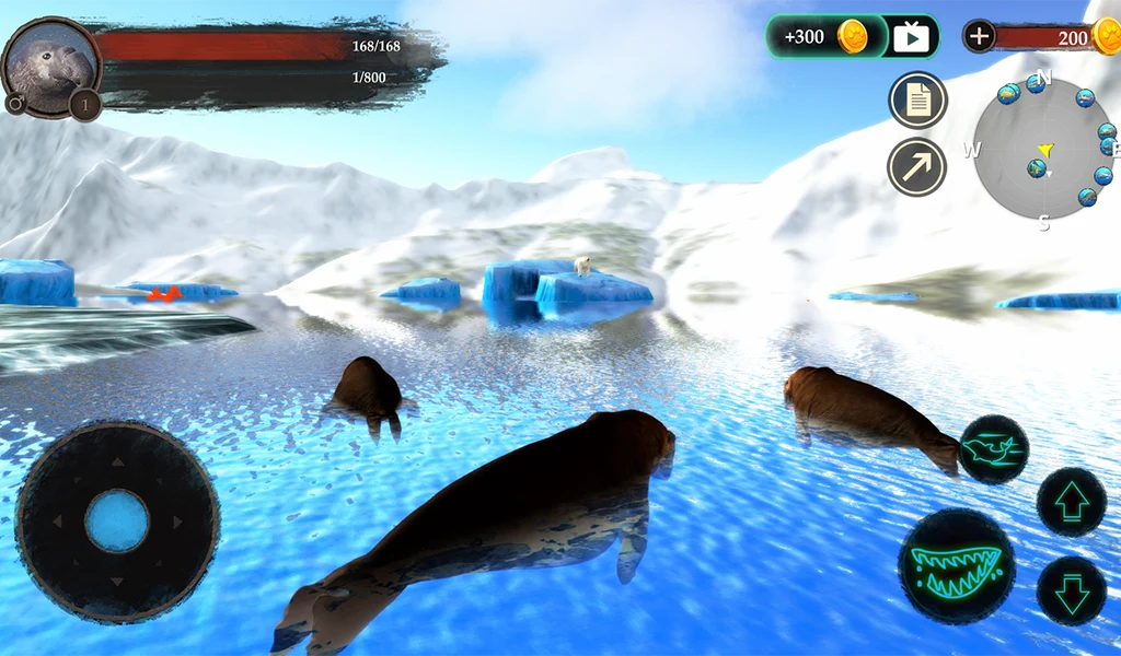 The Seal Elephant screenshot