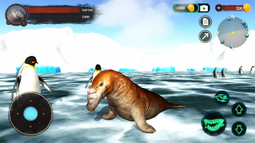 The Seal Elephant screenshot